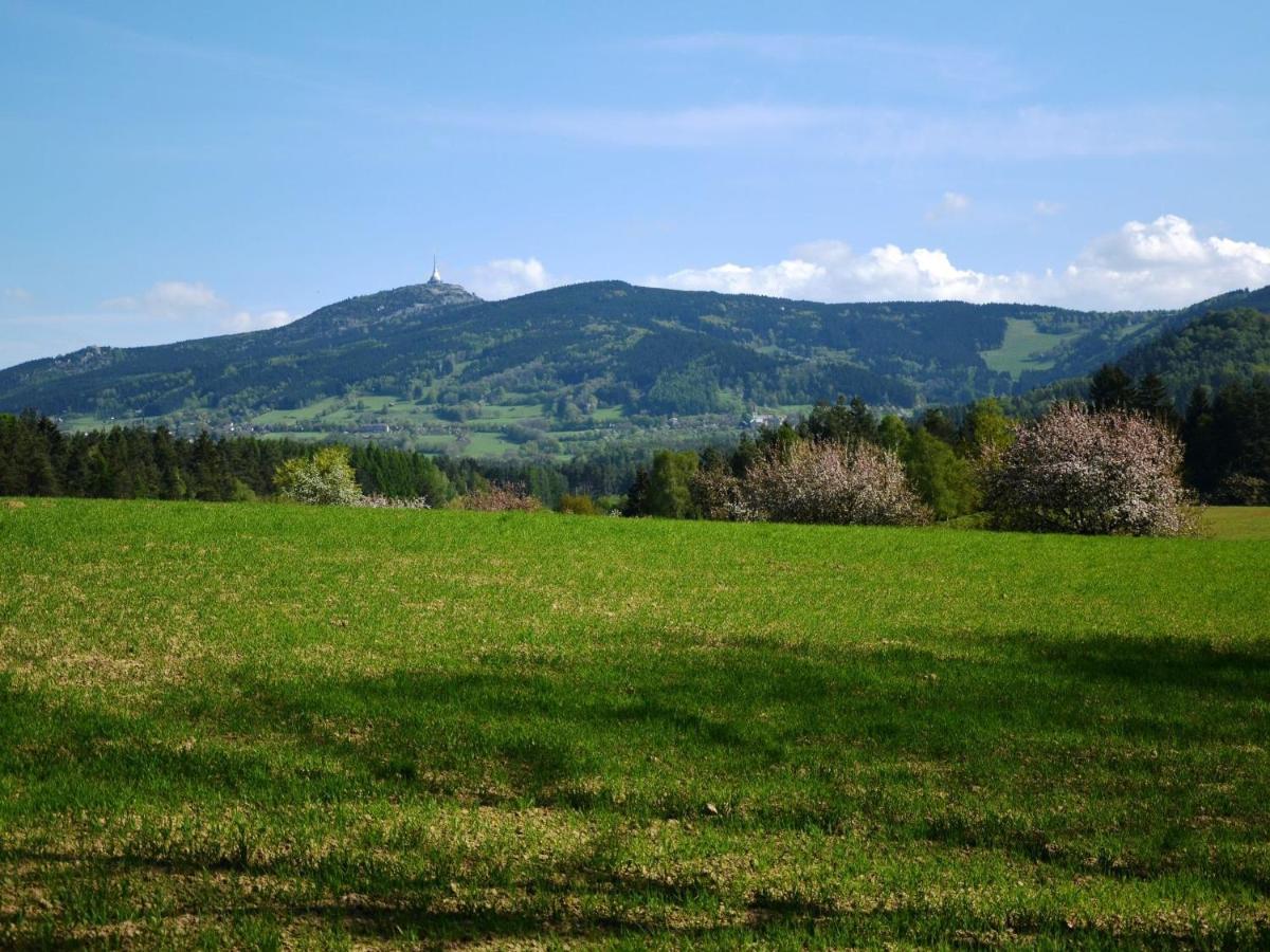 Luxury Villa Near Forest In Hlavice Czech Republic Vselibice Kamer foto